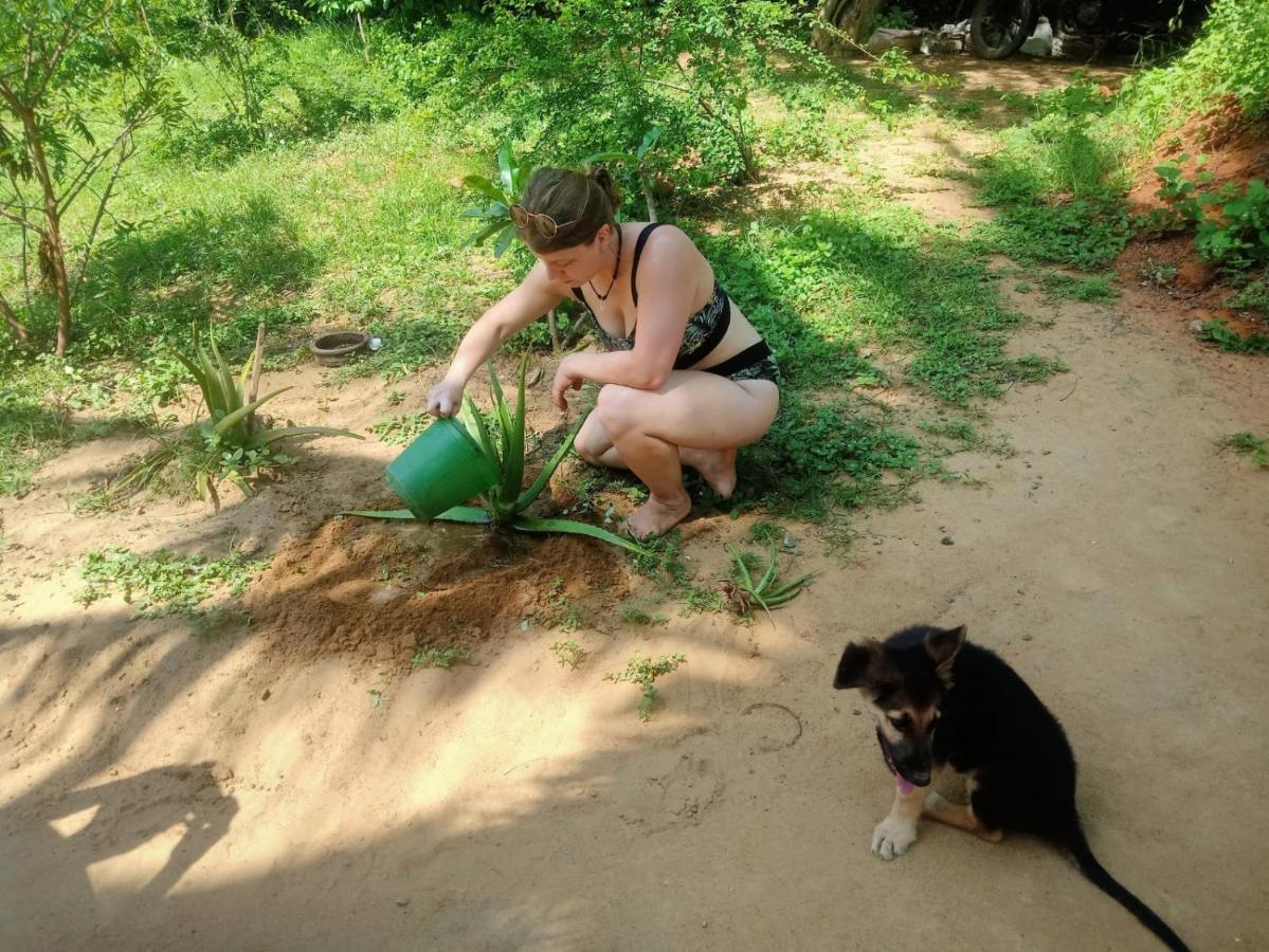 Beach Bungalow Yala Kirinda  Bagian luar foto