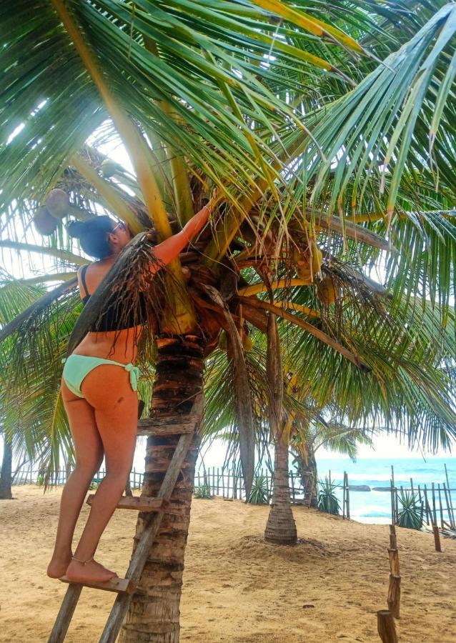 Beach Bungalow Yala Kirinda  Bagian luar foto