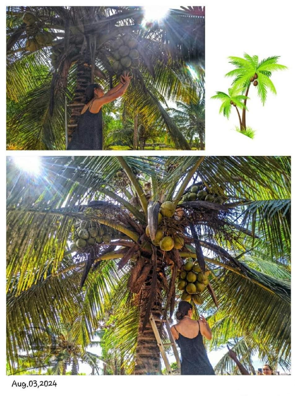 Beach Bungalow Yala Kirinda  Bagian luar foto