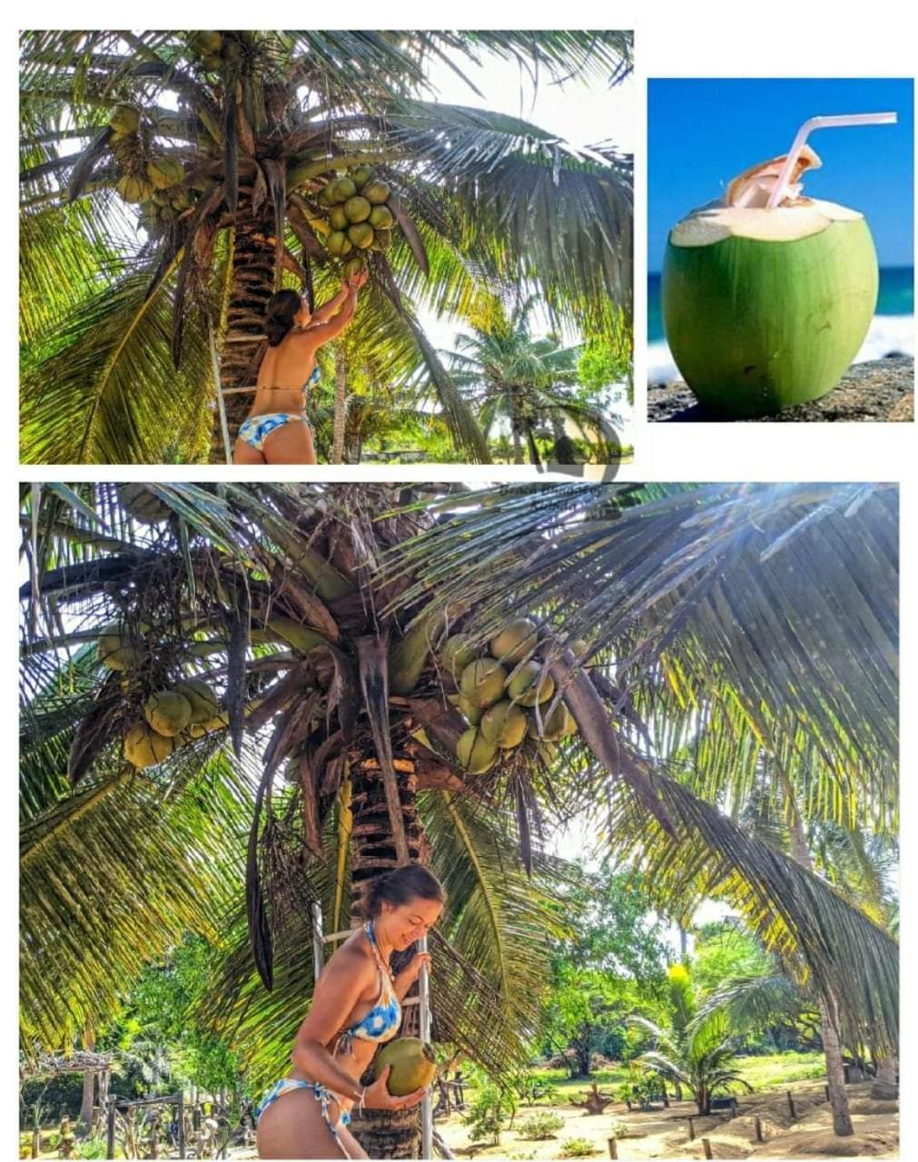 Beach Bungalow Yala Kirinda  Bagian luar foto