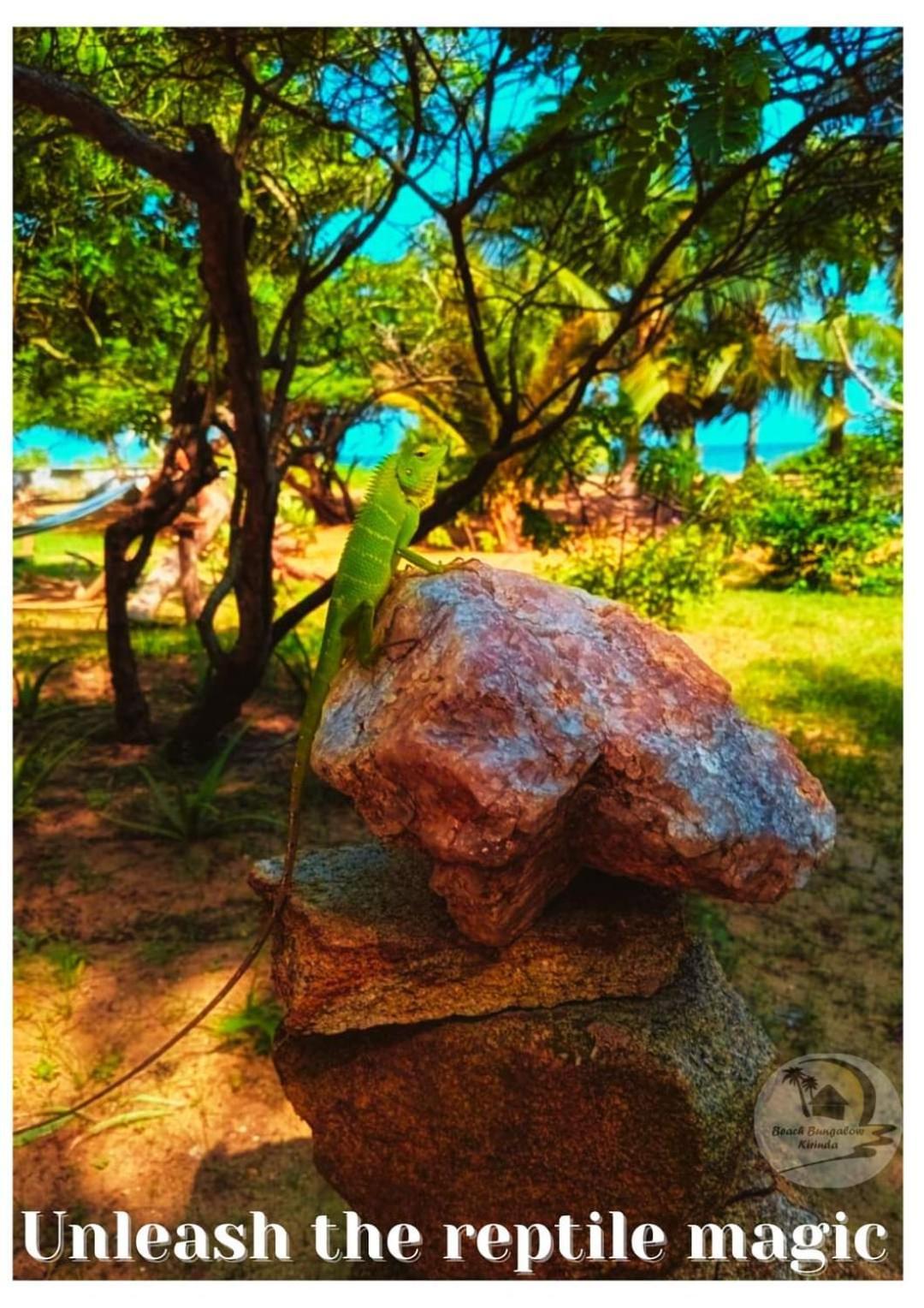 Beach Bungalow Yala Kirinda  Bagian luar foto